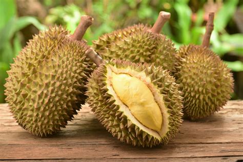 durian fruta - buriti fruta
